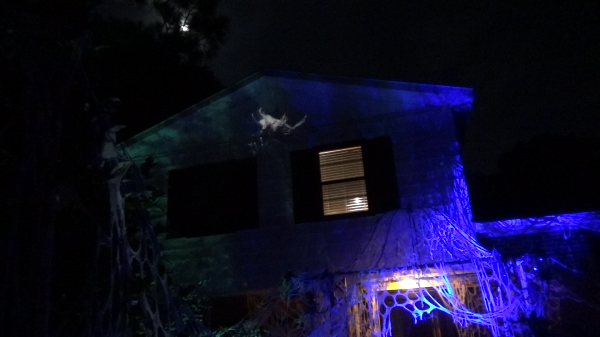 spider projection1